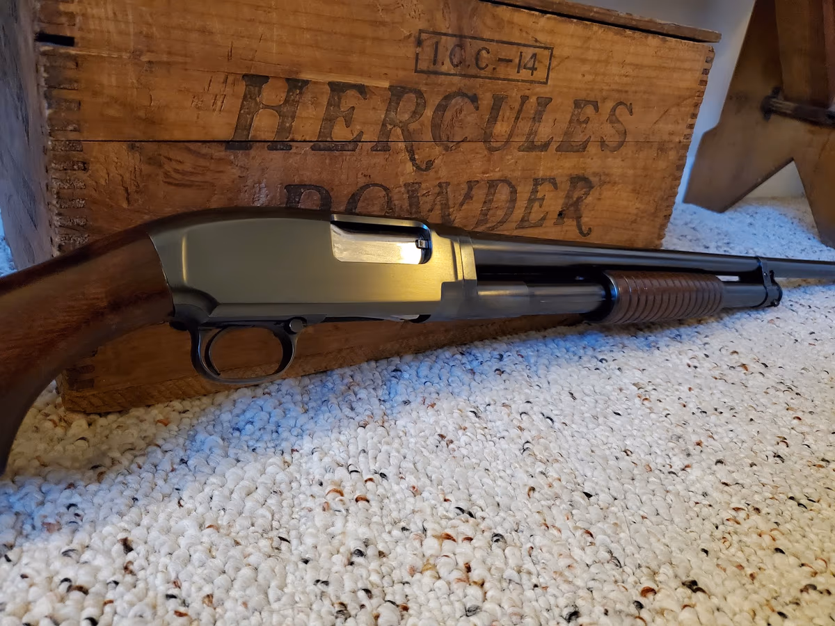 Aggelis Arms LLC - By Appointment Only photo 2