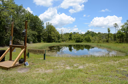Amelia Shotgun Sports photo 2