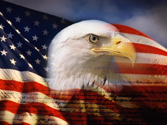 American Gunsmithing Institute
