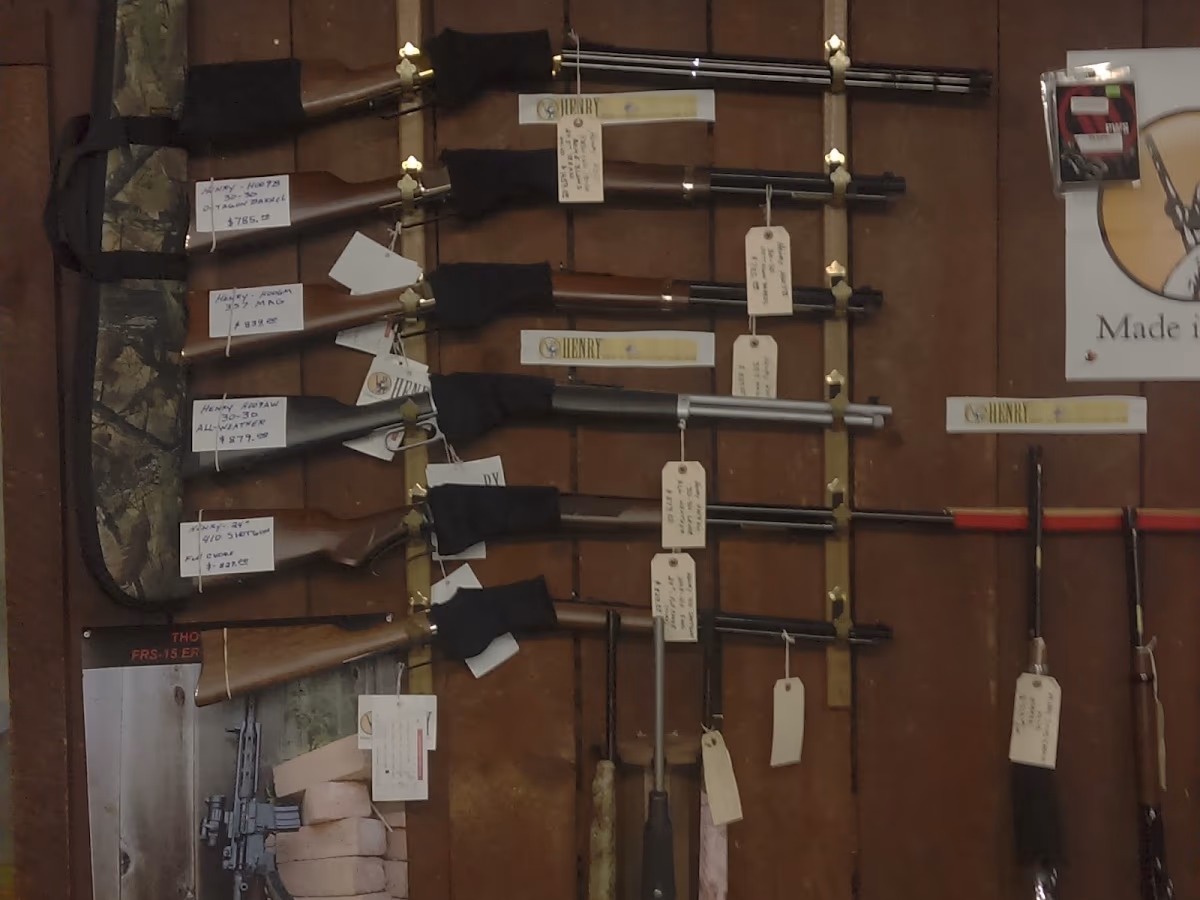 Ammo Bee and Guns photo 2