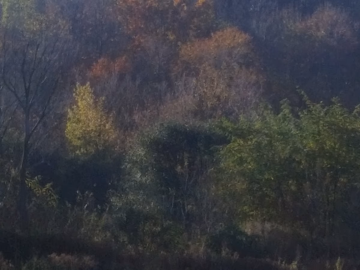 Ashippun Sportsman Club photo 2