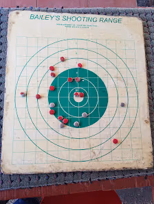 Bailey's House of Guns