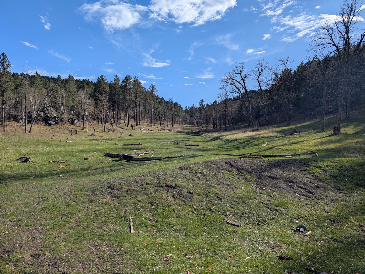 Beretta Road Gun Range photo 1