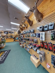 Bull's Eye Sports Shop photo 2