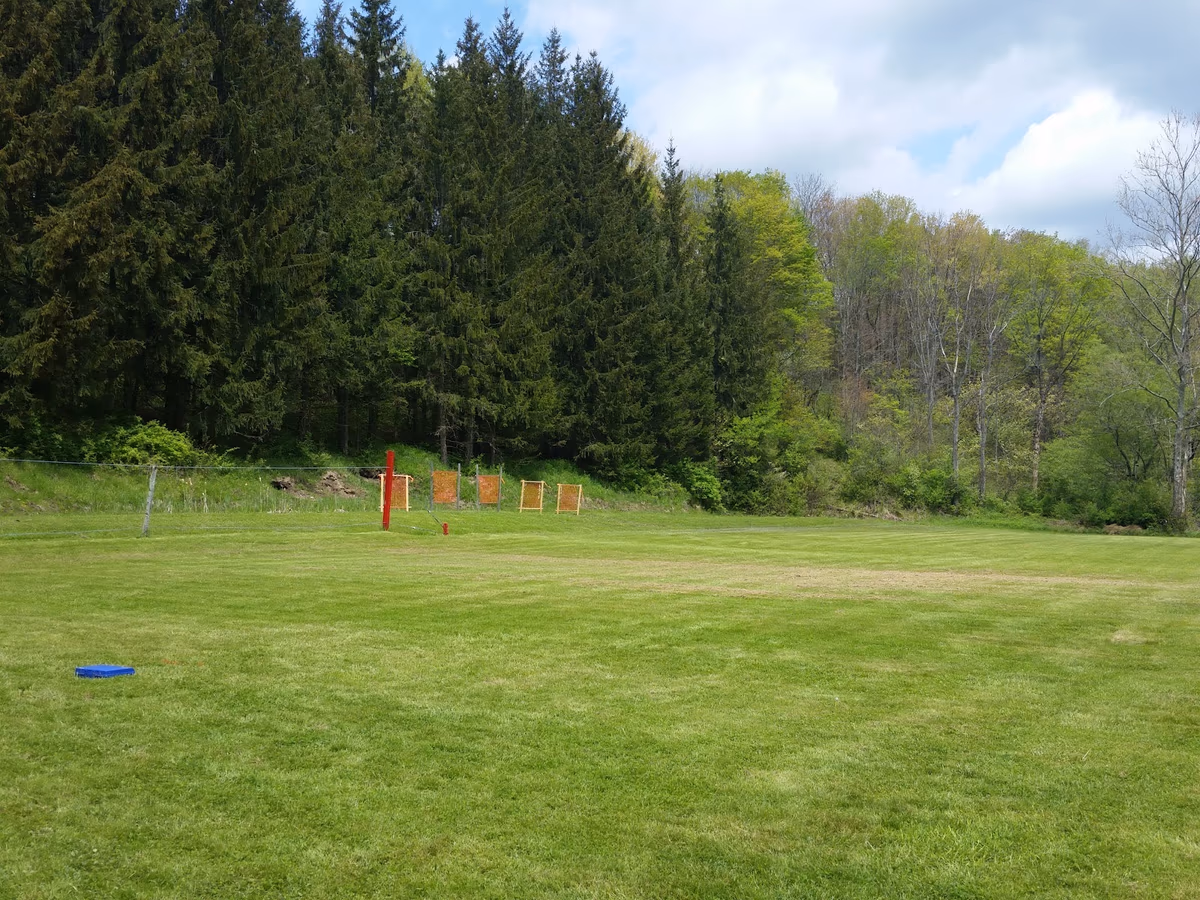 Carroll Rod & Gun Club photo 2
