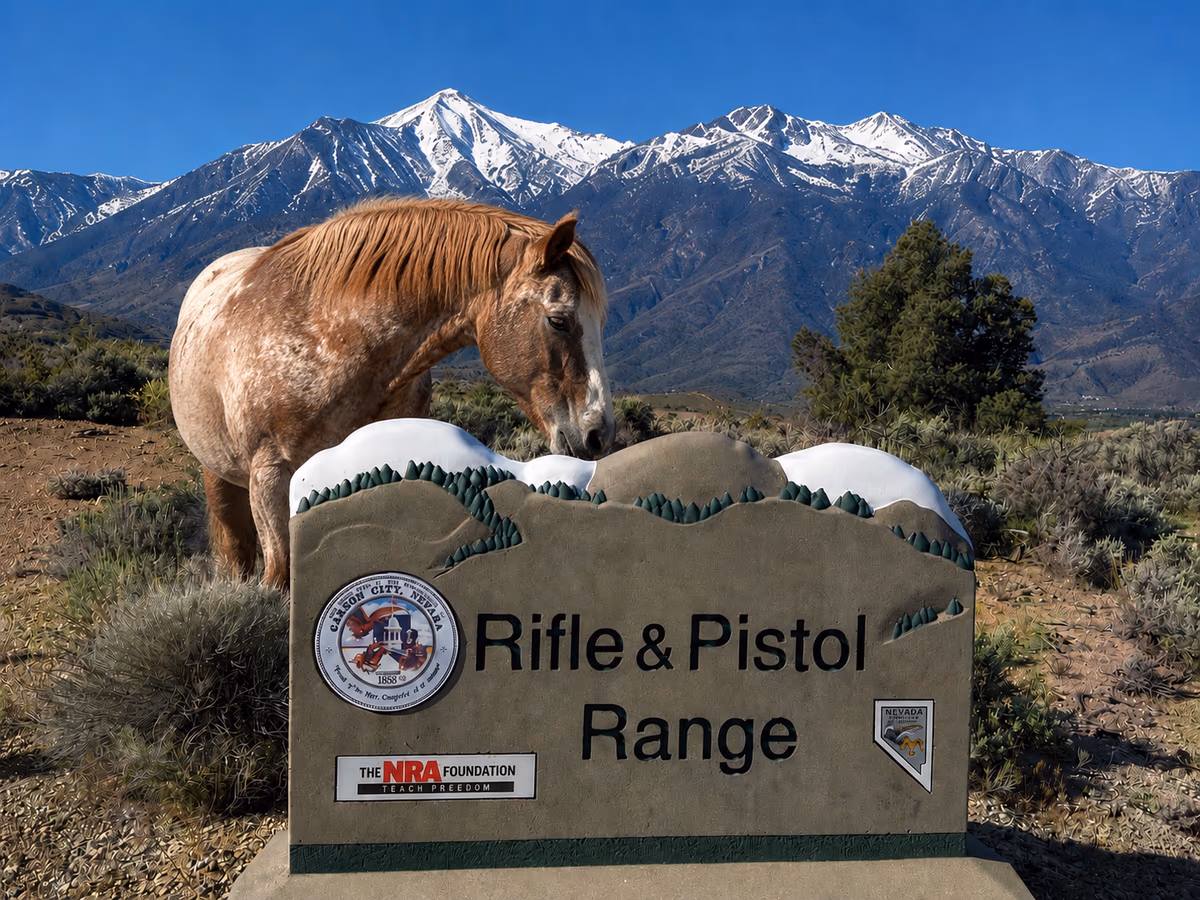 Carson City Rifle and Pistol Range photo 2