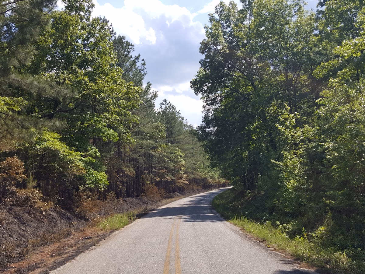 Cedar Creek Shooting Range photo 2