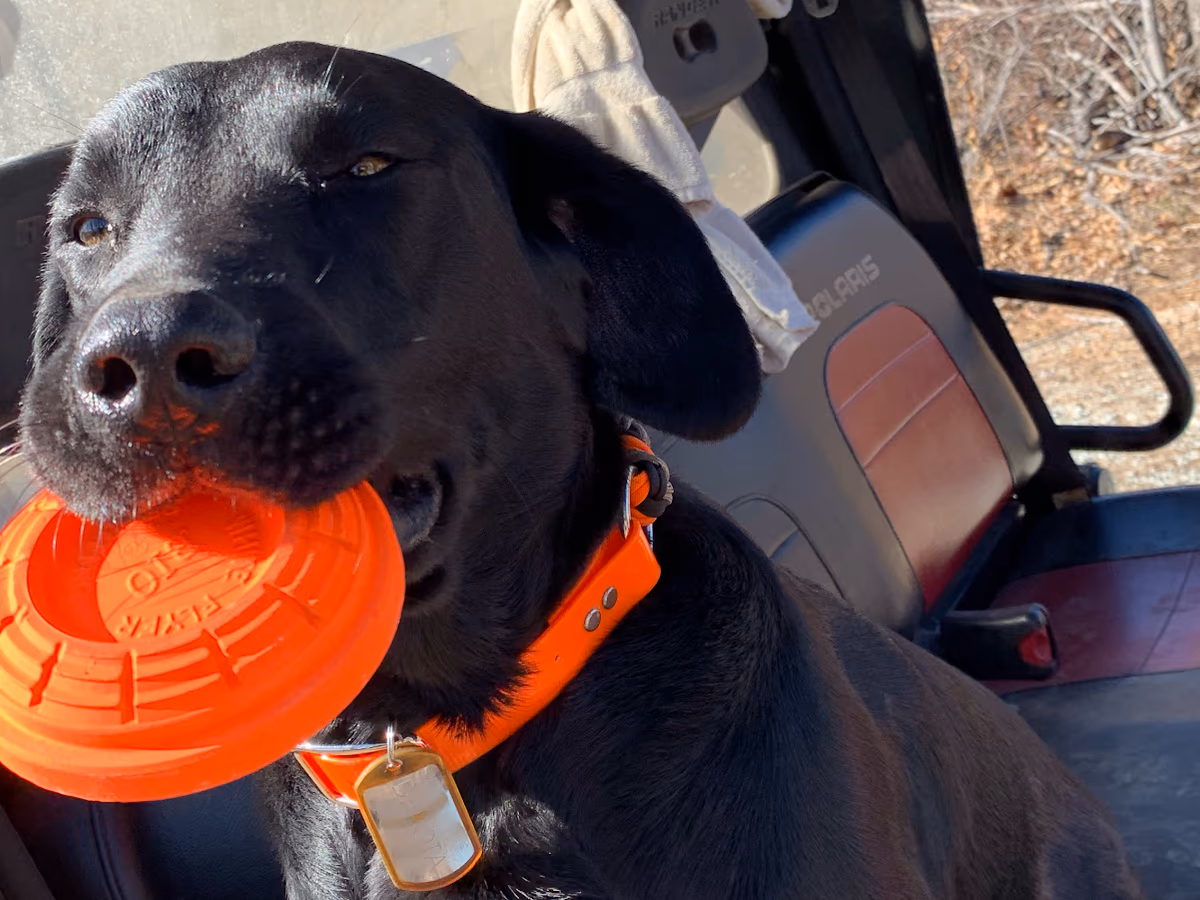 Clay Bird Sports - Sporting Clays