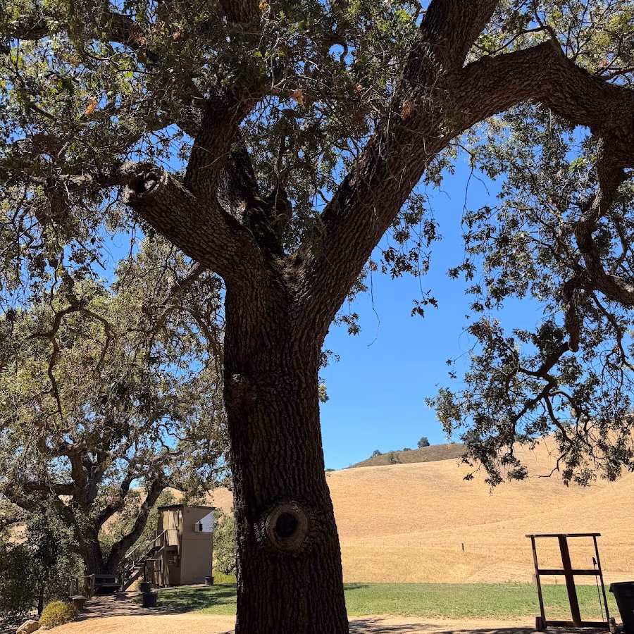 Coyote Valley Sporting Clays photo 2