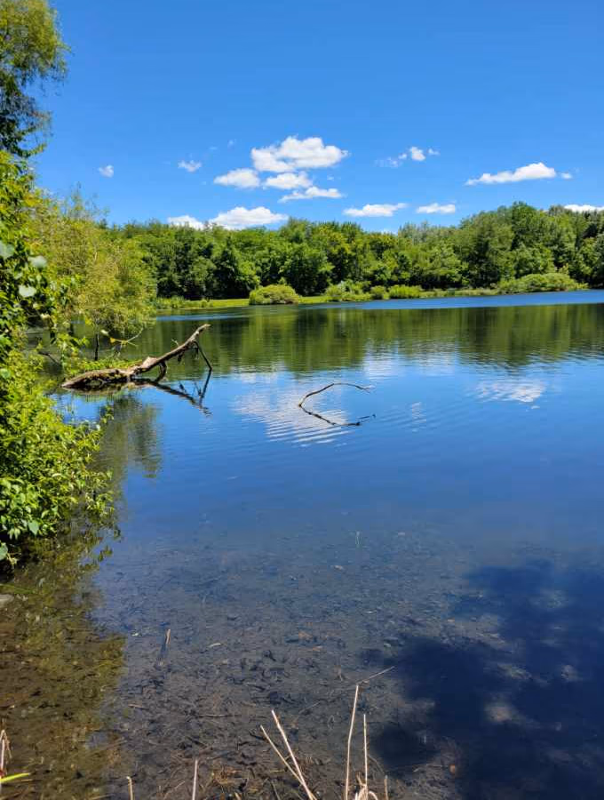 Crawford County Sportsmen and Gun Club photo 1