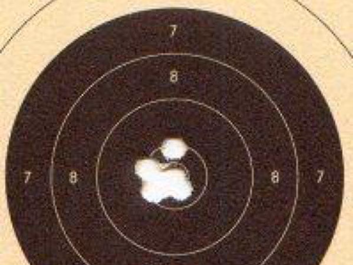 Dans Firearms