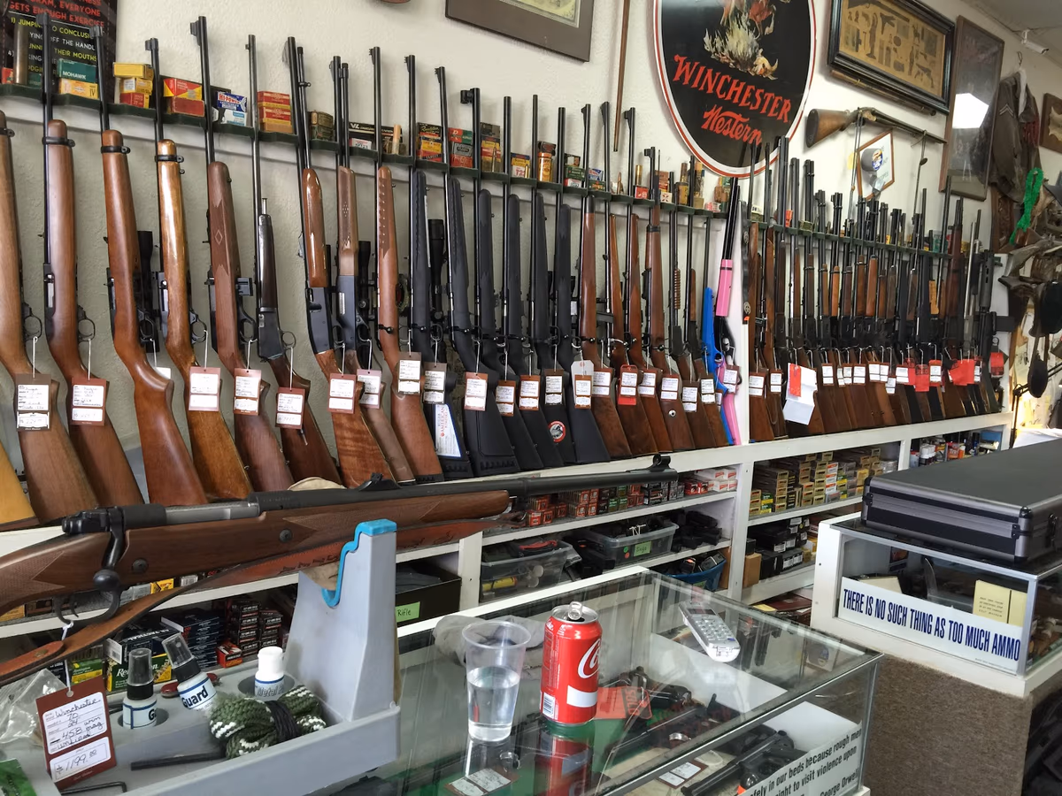 Deer Hunter Guns photo 3