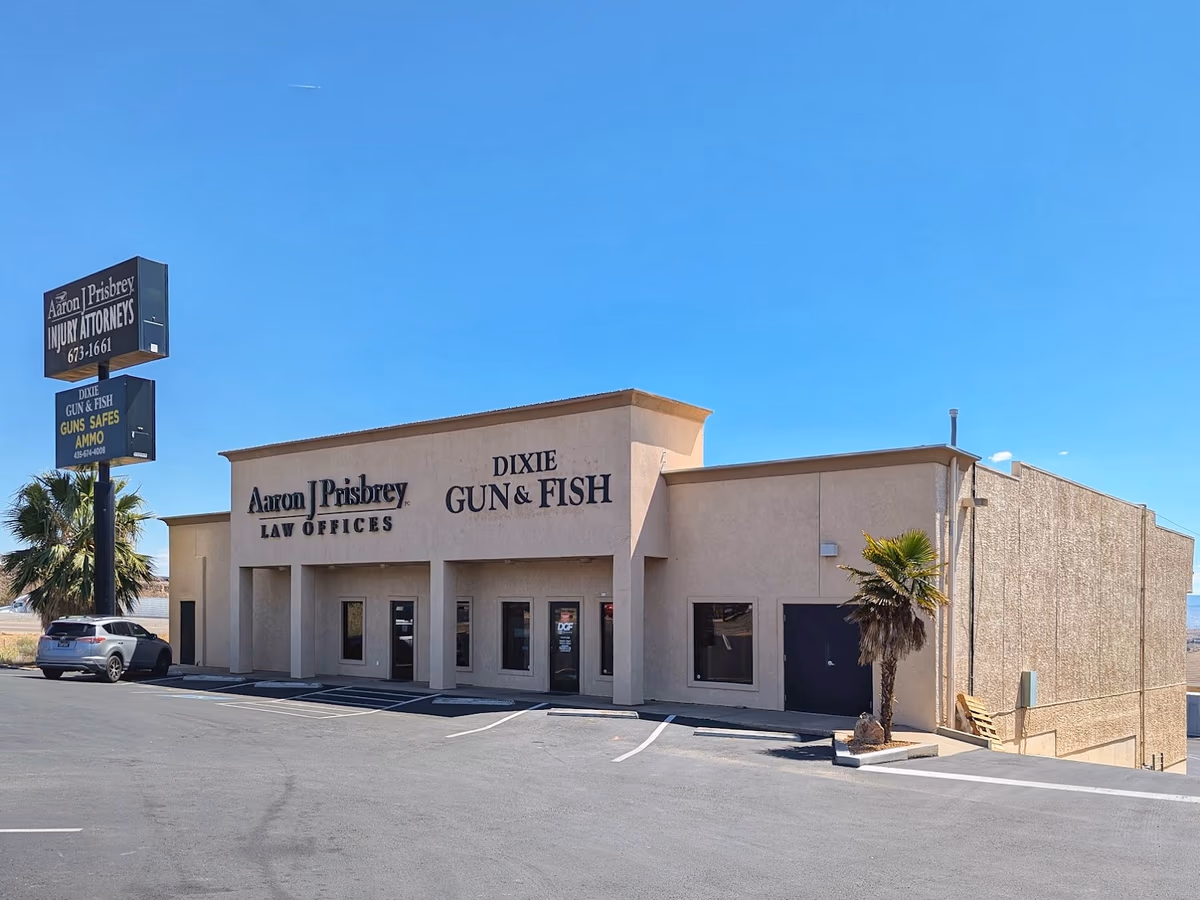Dixie Gun & Fish photo 1