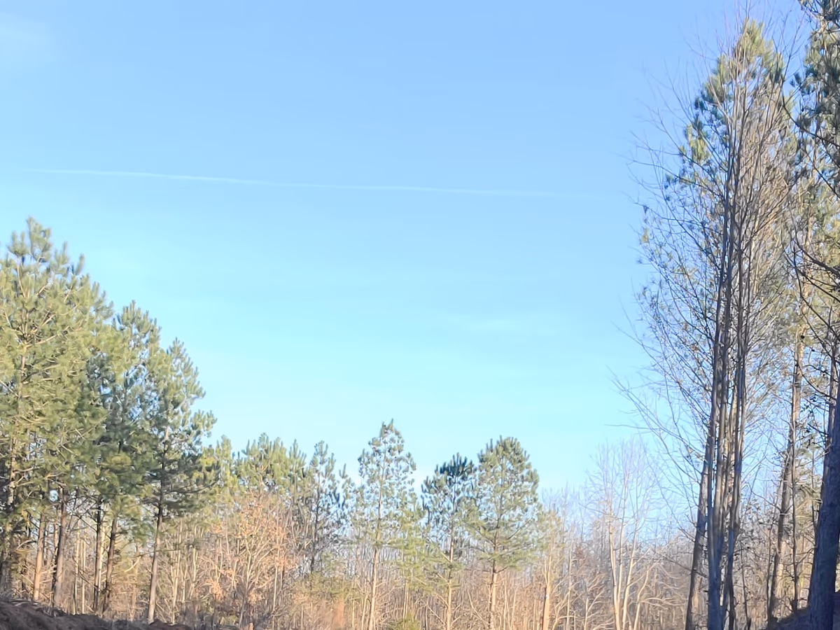 Duck Creek Gun Club photo 2