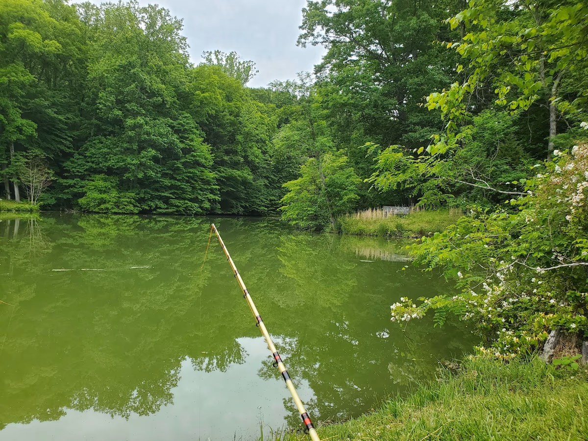 Dutchman's Rod & Gun Club
