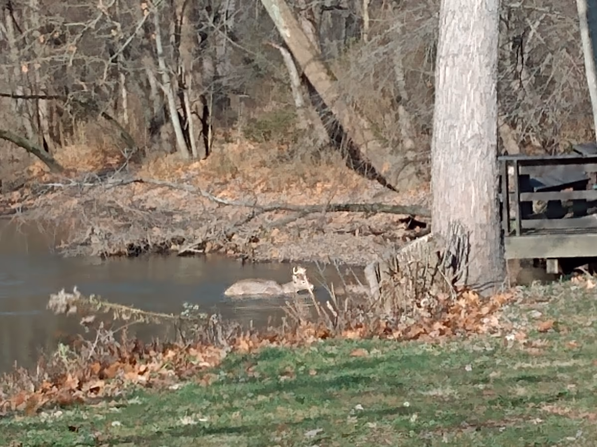 Dynamic Shooting Sports, LLC