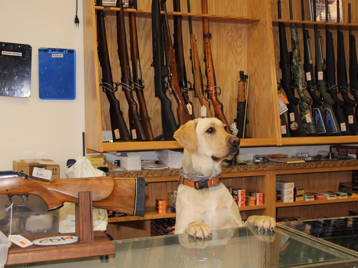 E.S. Ramey Firearms photo 2