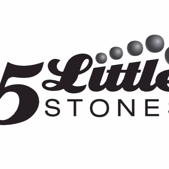 Five Little Stones Firearms Training photo 2