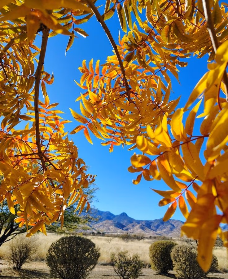 Fort Huachuca Range 8 photo 2