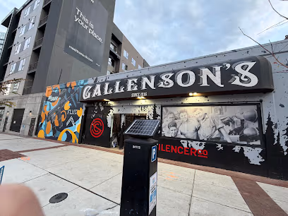 Gallenson's Guns and Ammo
