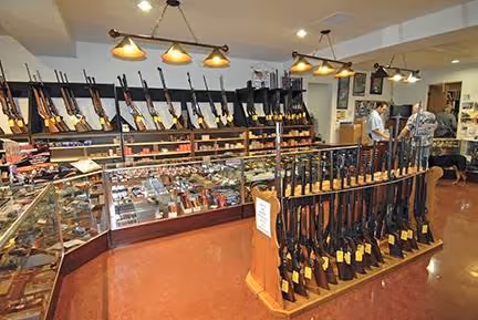 Greta's Guns photo 3
