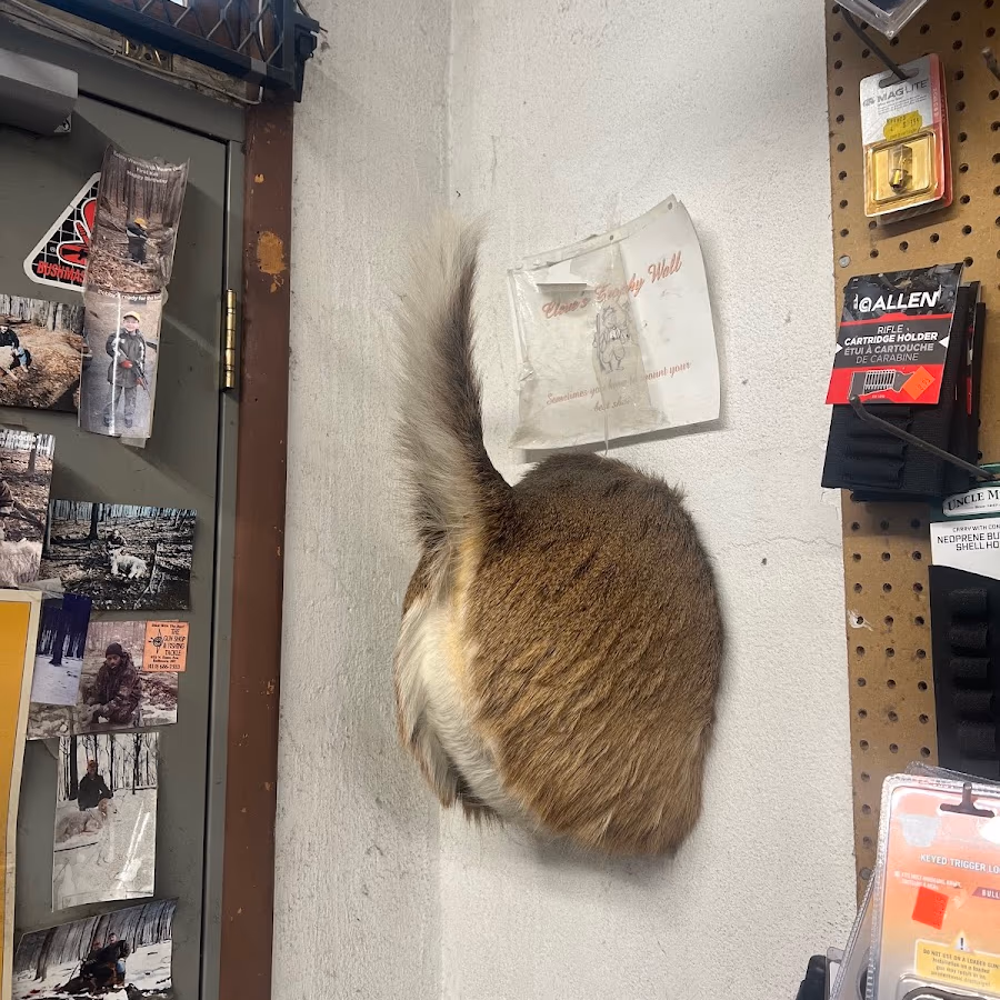 Gun Shop photo 1