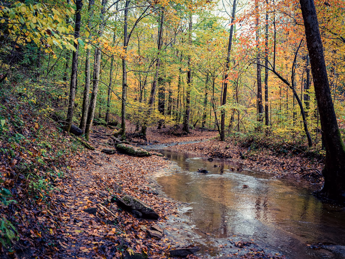 Kanawha State Forest Shooting Range photo 2