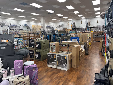 Kevin's Gun's and Sporting Goods of Tallahassee photo 2
