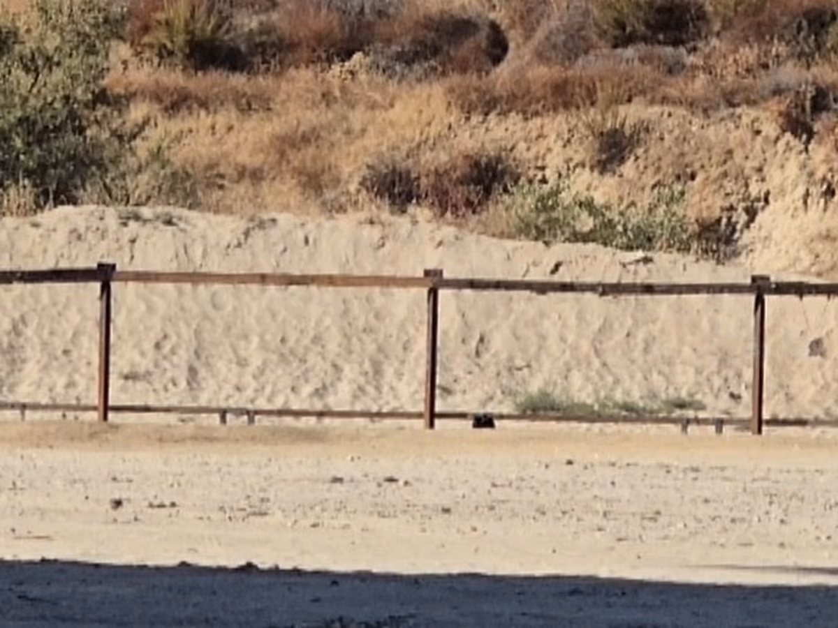 L.A. Progressive Shooters photo 2