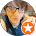 La Mesa Collectibles photo 2