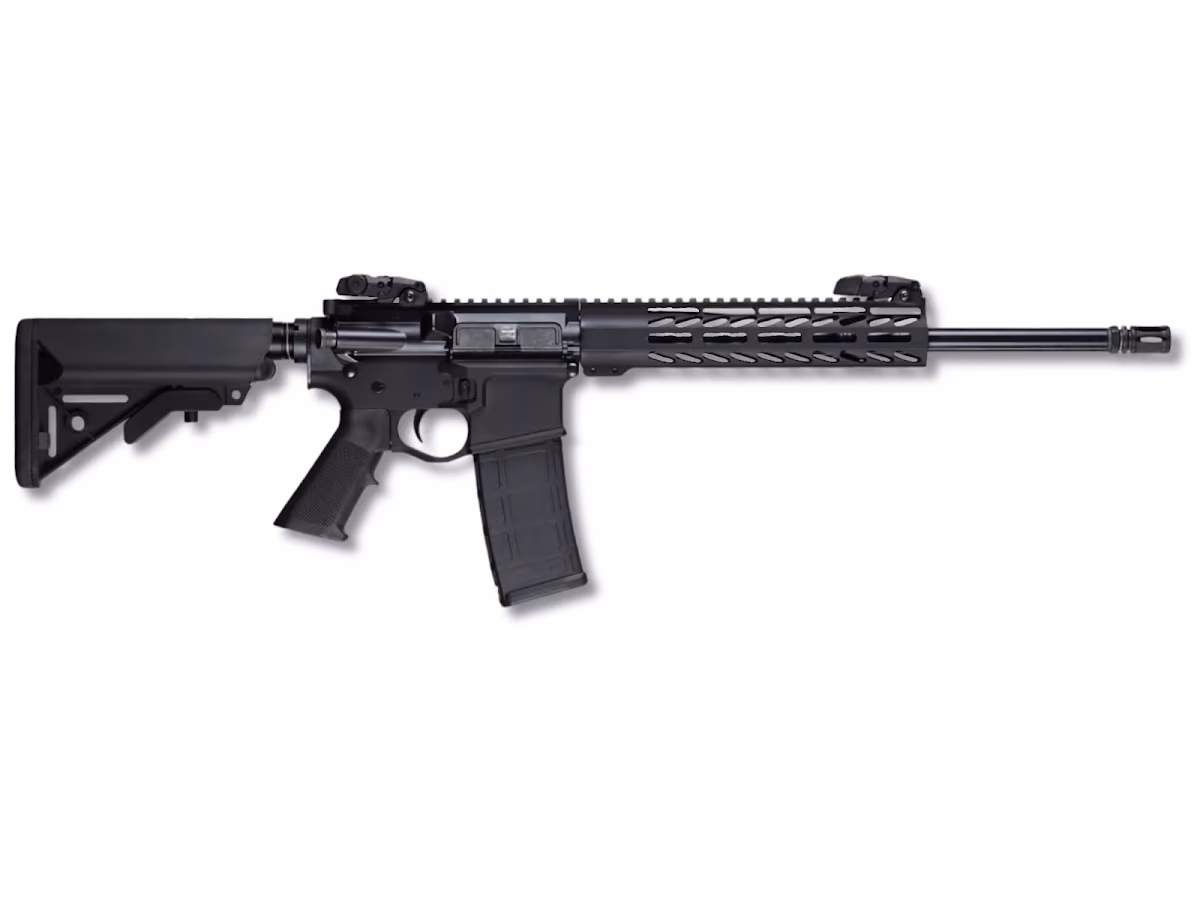 Lion Arms photo 1