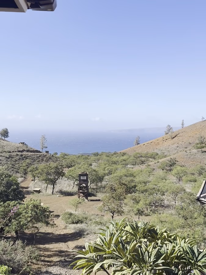 Maui Sporting Clays photo 2