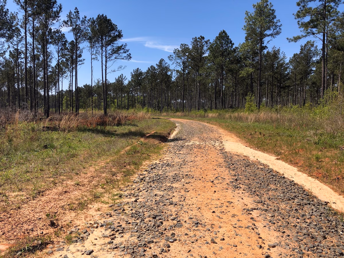 Mayhaw WMA Shooting Range