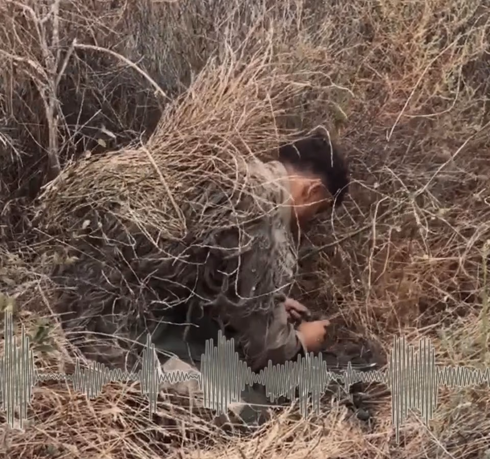 Modern Day Sniper photo 3