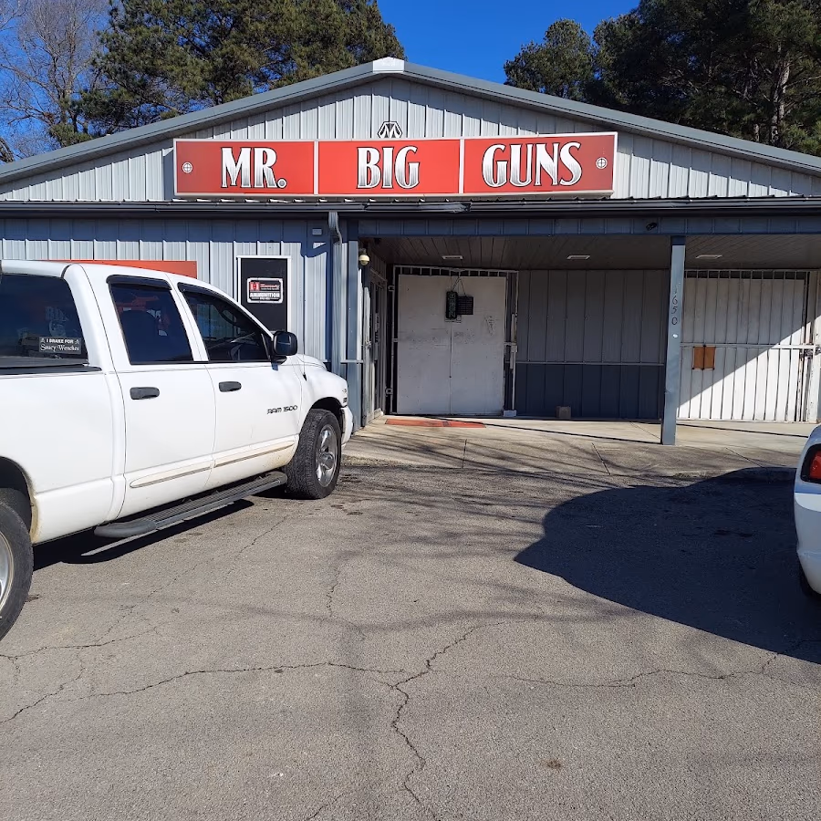 Mr. Big Guns photo 1
