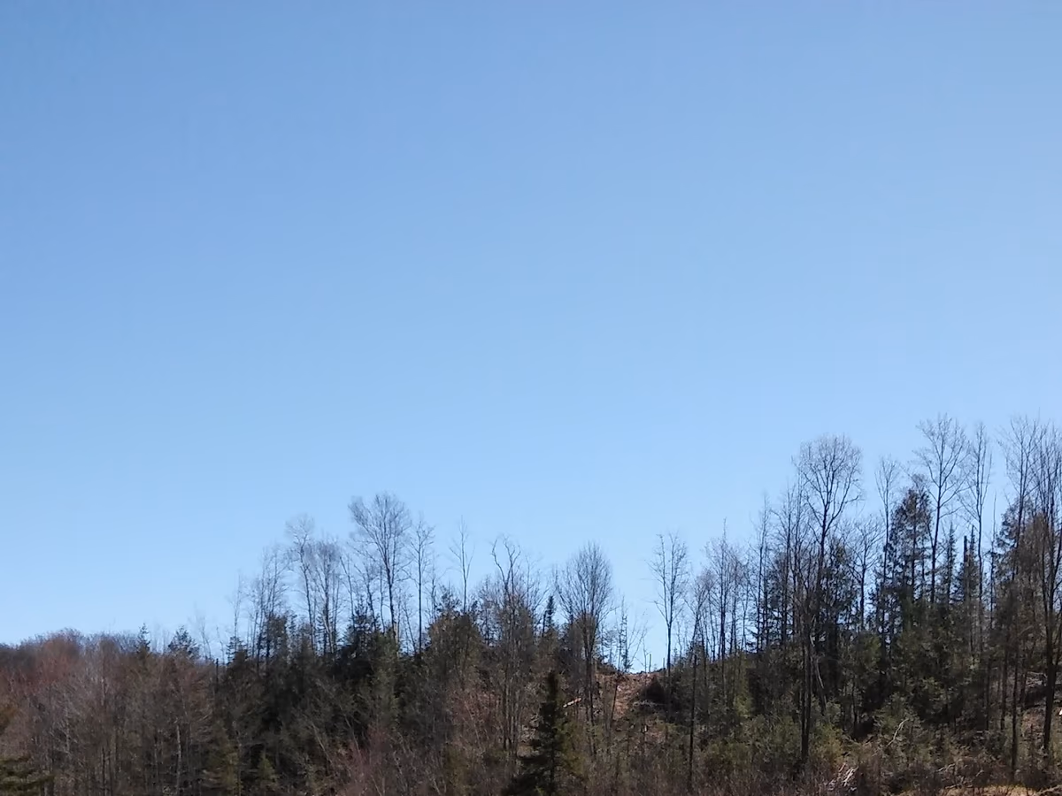 Negaunee Rod & Gun Club photo 2