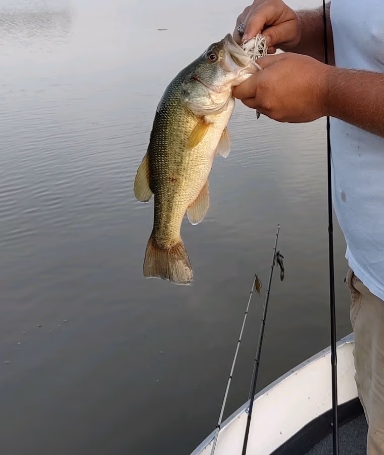 North Dayton Anglers & Gun Club