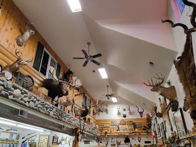 Northwest Pawn-Collector Arms photo 2