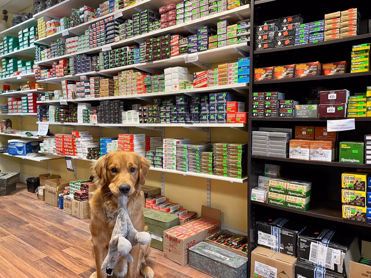 NY Shooter Supply photo 3