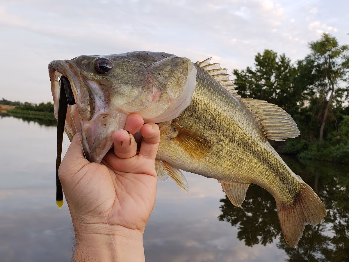 Ochelata Sportmans Club - Lake & Range