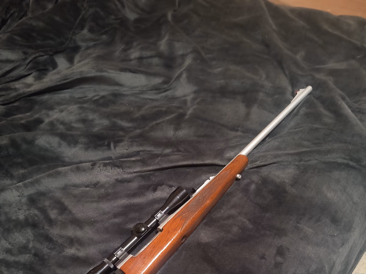 Oglesby & Oglesby Gunmakers photo 1