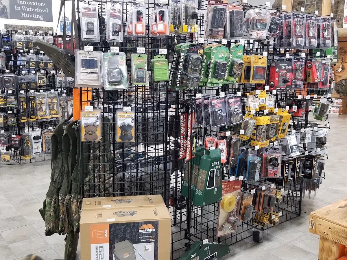 Palmetto State Armory - Greenville photo 2
