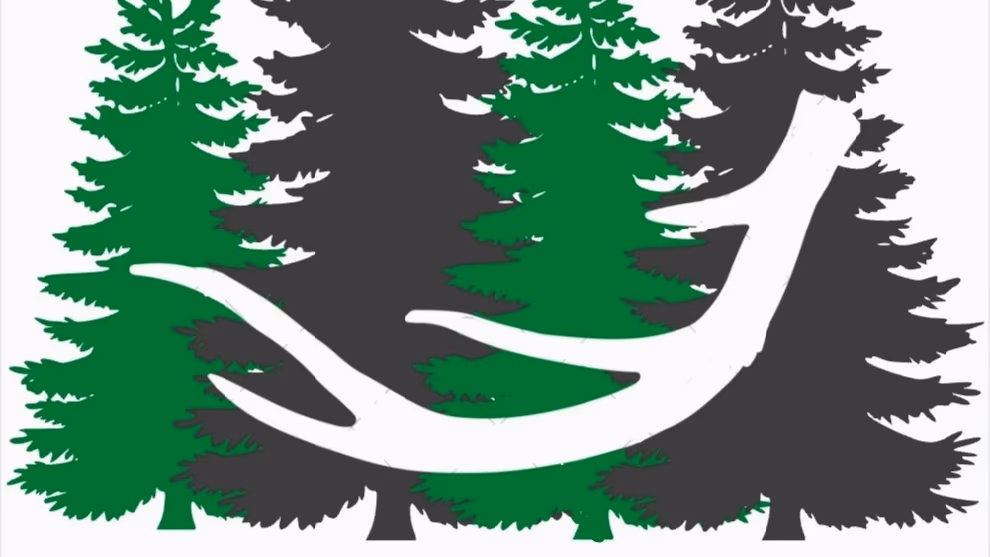 Pine & Tines photo 1