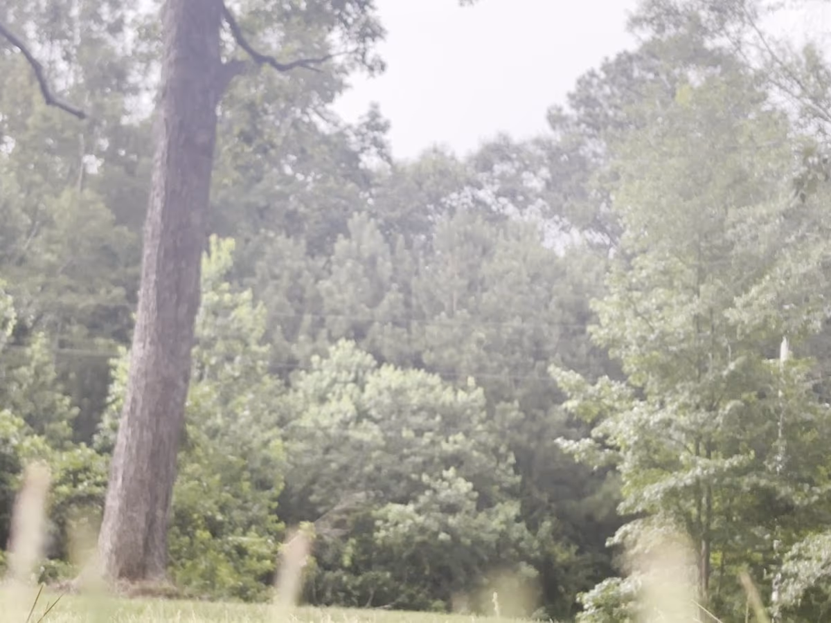 Pinehills Gun Club photo 2