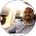 Prime Kinetic Solutions