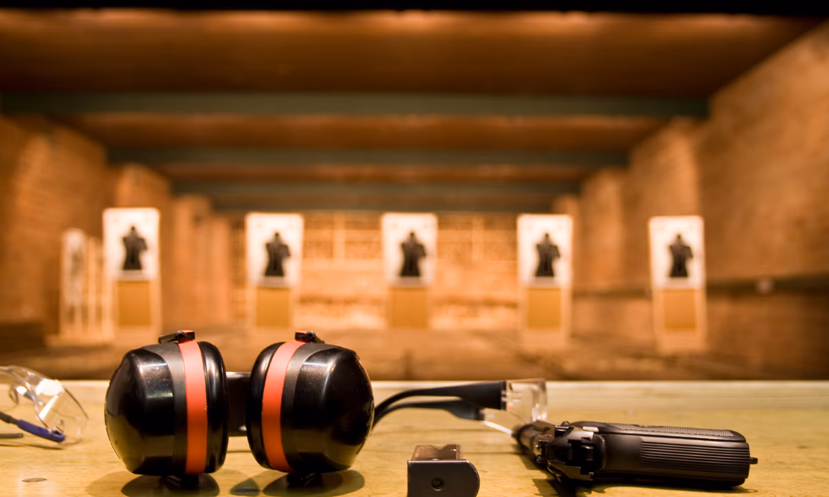 Protect The Important Firearms Training photo 1
