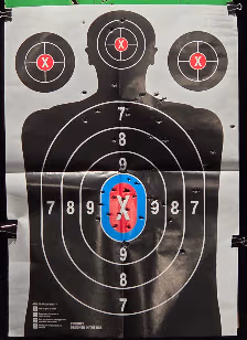 Ricochet Range