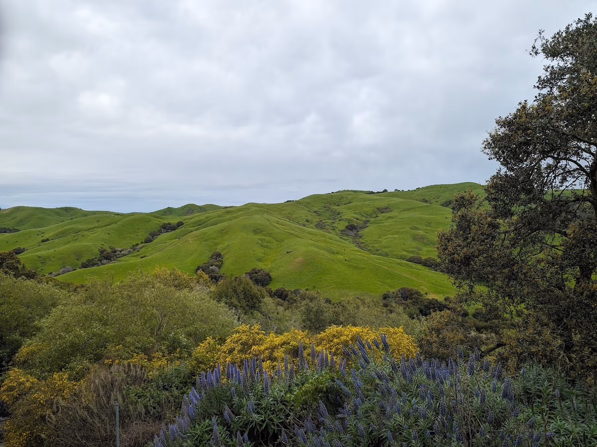 Rifle Range Road Trailhead