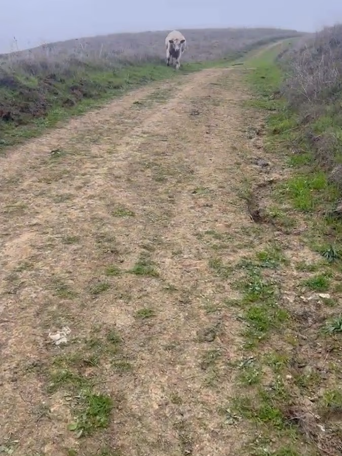 Rifle Range Road Trailhead photo 2