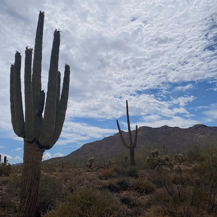 Rio Salado Sportsman's Club photo 2